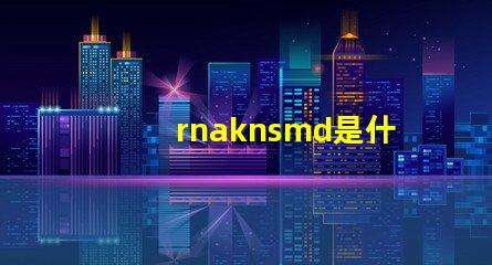 rnaknsmd是什么牌子衣服 Rnaknsmd什么意思